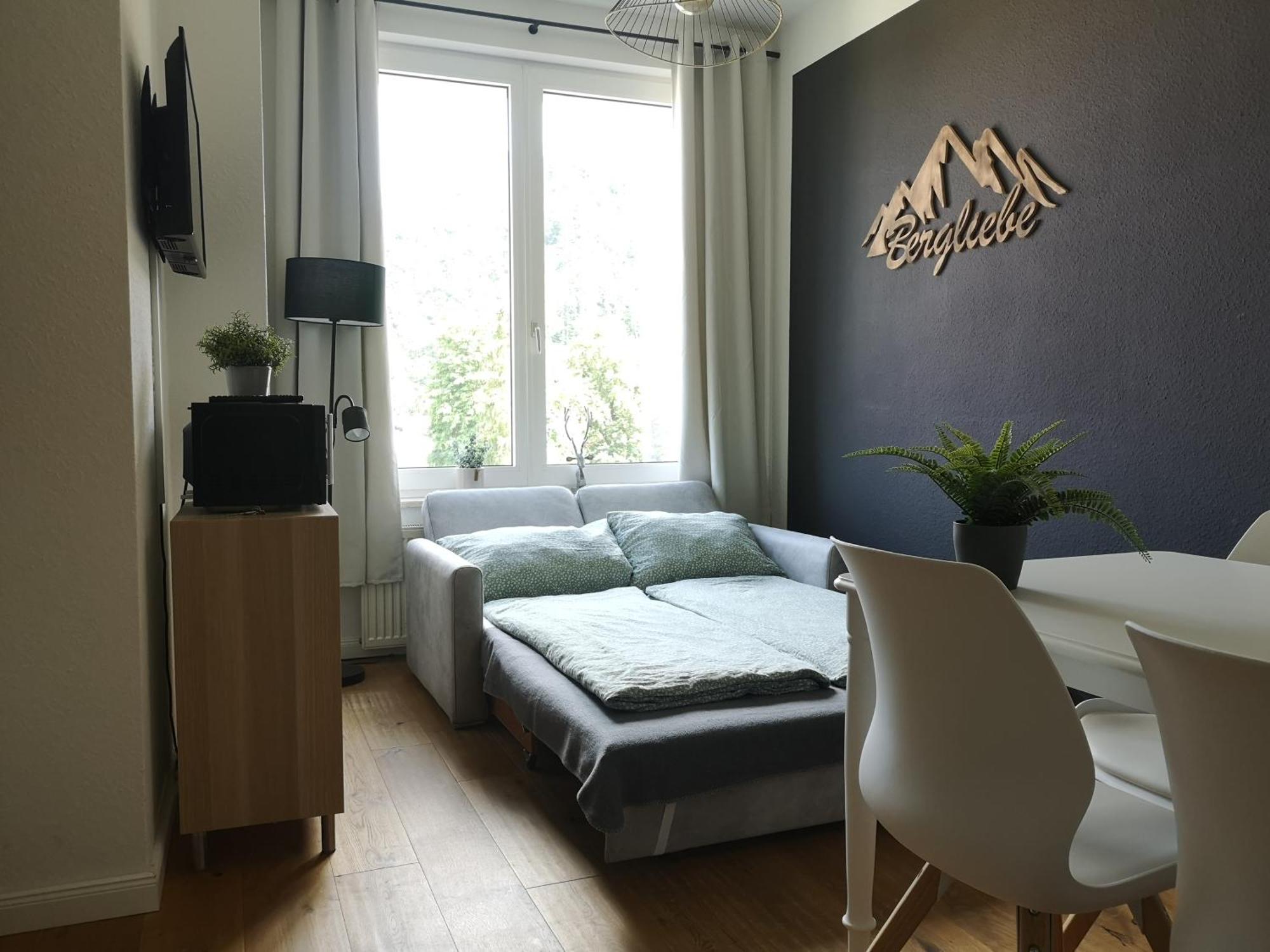 Bergliebe Appartement Bad Harzburg Buitenkant foto