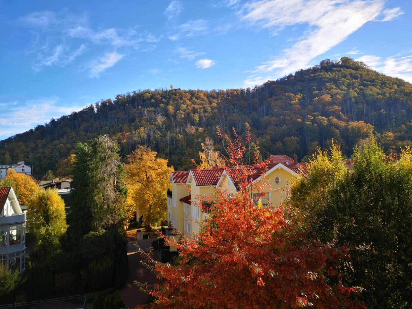 Bergliebe Appartement Bad Harzburg Buitenkant foto